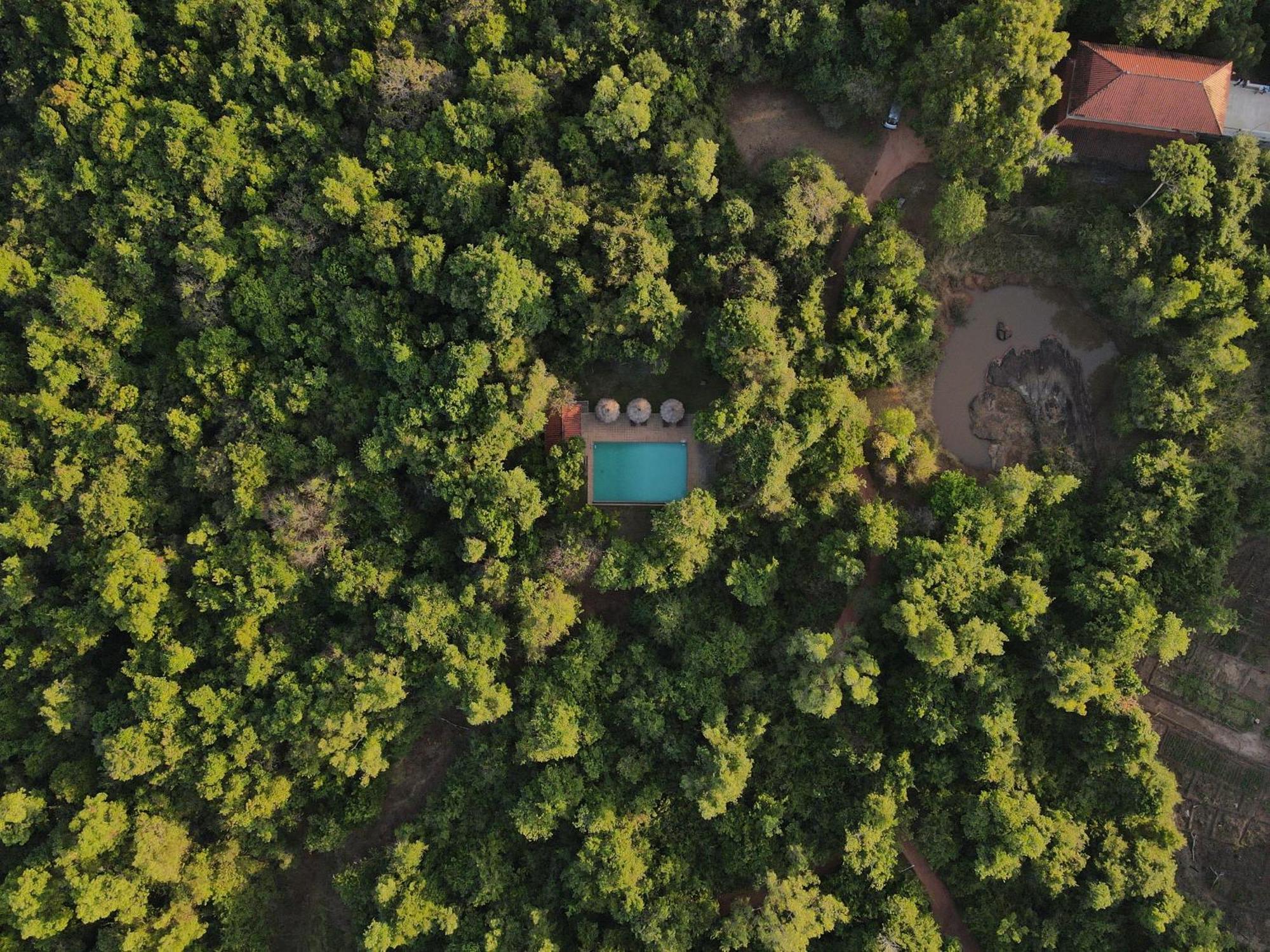 Wild Grass Nature Resort Sigiriya Buitenkant foto